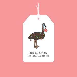 May include: A white gift tag featuring a cartoon emu adorned with Christmas lights and holding a red bauble. The text on the tag reads "HOPE YOU FIND THIS CHRISTMAS TAG EMU-SING".