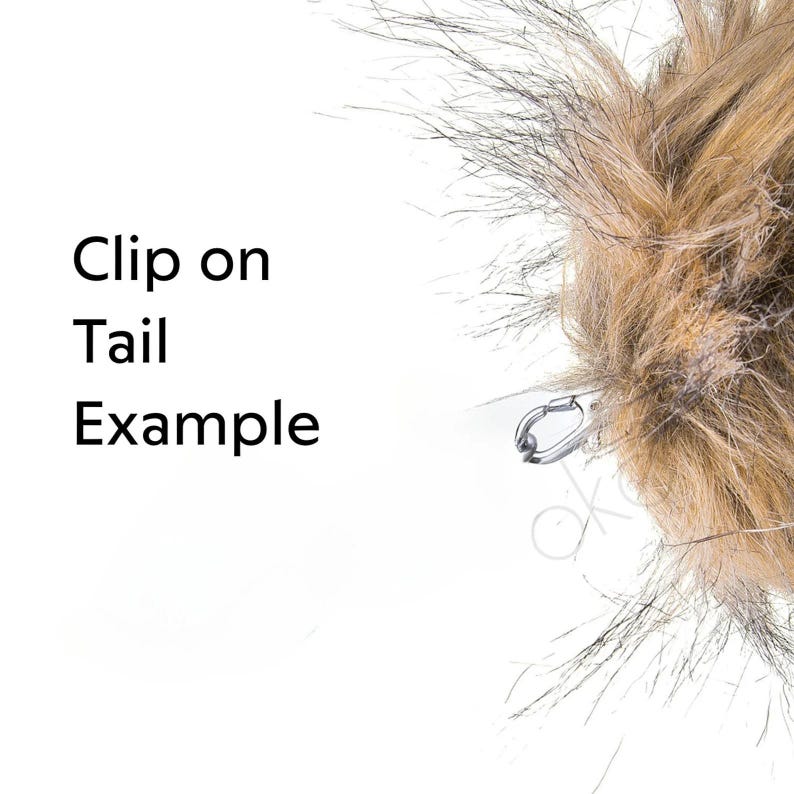 Cola de lobo, cola de zorro, cola de gato, cola de gatito, cola de gato negro, cola de gatita, cola, cola de Okova, OKOVA imagen 4