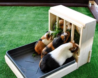 Guinea Pig Hay Rack Wooden Hay Feeder Asaswood Etsy