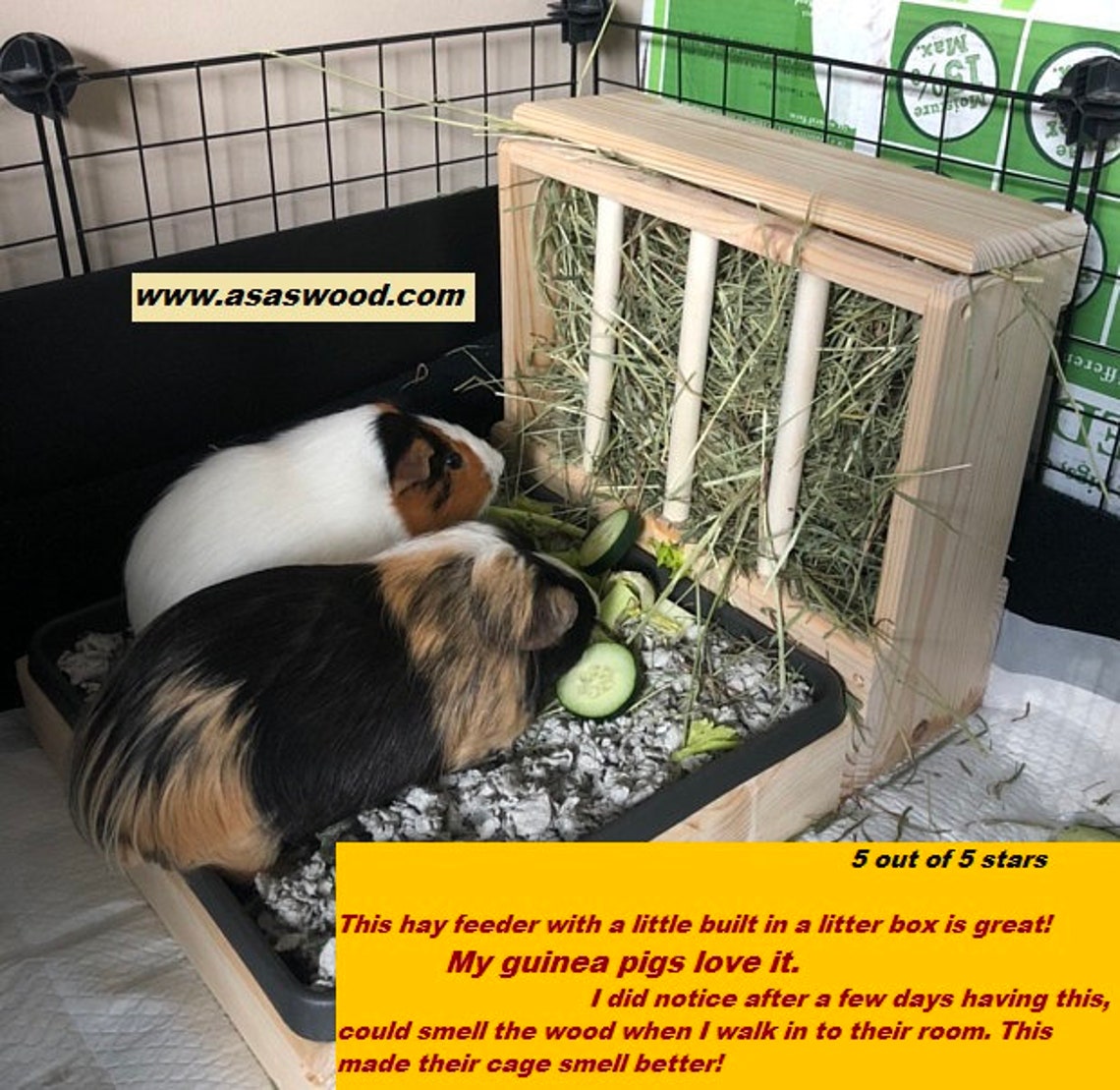 Guinea Pig hay feeder with litter box and food bowl combo Etsy