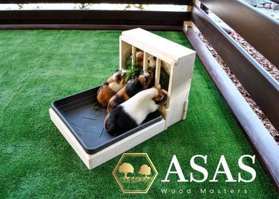 Guinea Pig Hay Feeder With Litter Box Combo Asaswood Etsy