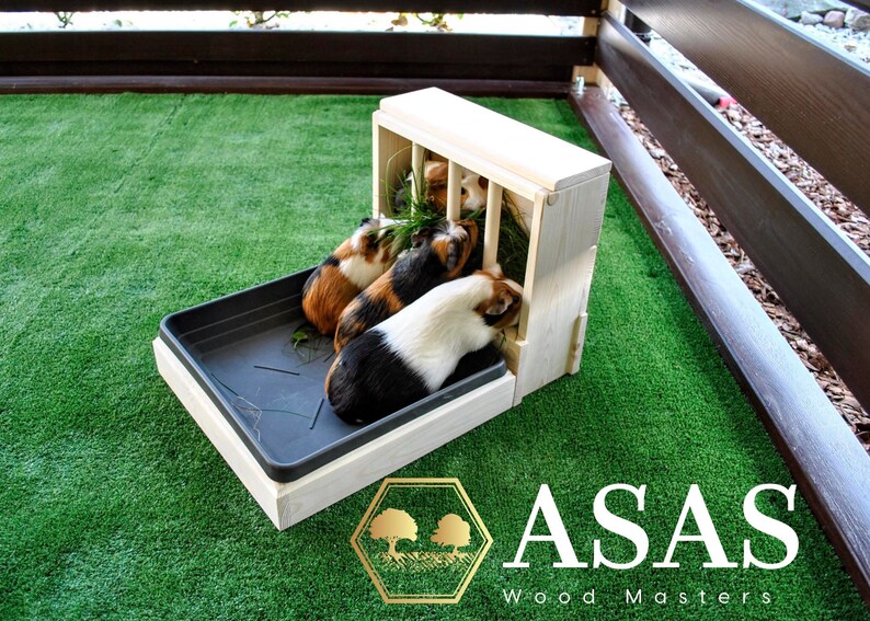 Guinea Pig Hay Feeder With Litter Box Combo Asaswood Etsy