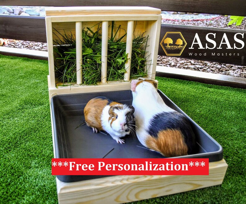 Guinea Pig hay feeder with litter box and food bowl combo Etsy