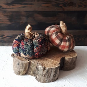 Fall velvet pumpkins centerpiece Rustic home thanksgiving decor