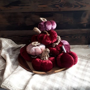 Burgundy velvet pumpkins real stems Wedding pumpkins centerpiece