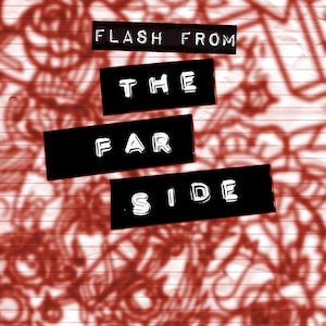 Flash from The Far Side : book 2