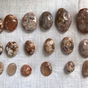 Coral Flower Agate gallets