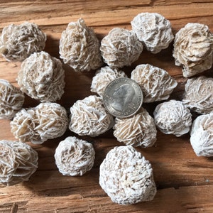 Selenite Desert Rose