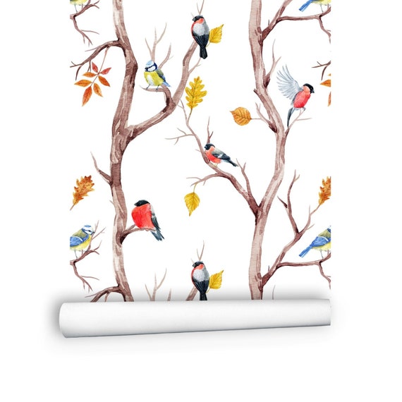 Pájaros fondos de pantalla extraíbles / Tree Peel y Stick - Etsy España Pájaros fondos de pantalla extraíbles / Tree Peel y Stick - Etsy España
