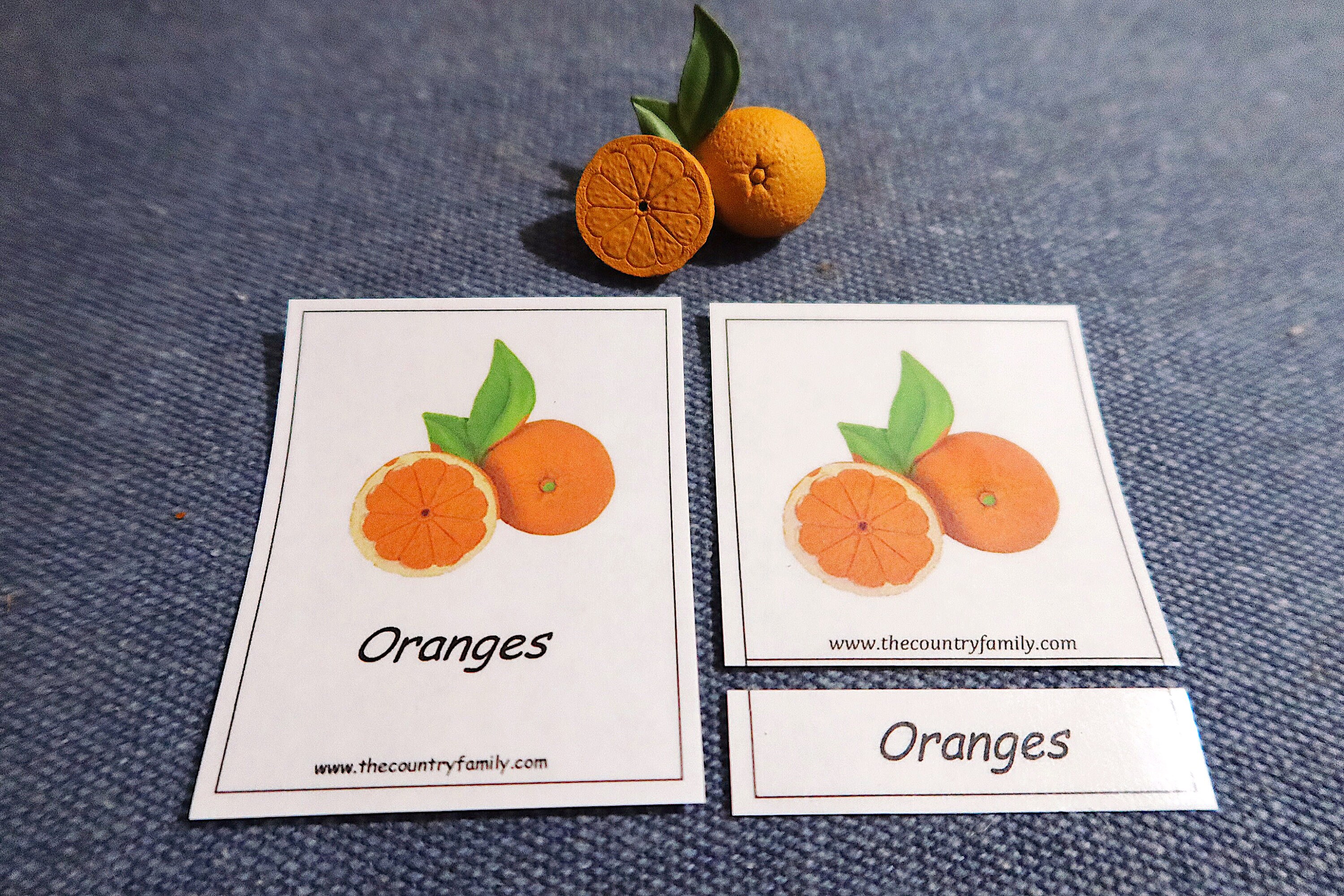 montessori-3-part-cards-montessori-materials-montessori-etsy