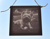 Custom Made Lithophane