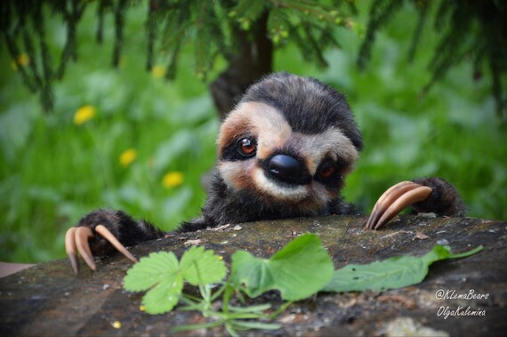 sloth teddies
