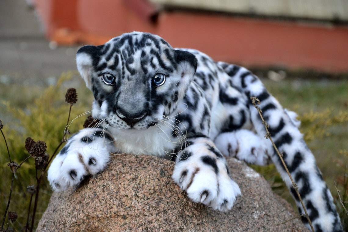 SEW PATTERN Snow leopard Collectible Toy-Posing Toy-Snow | Etsy