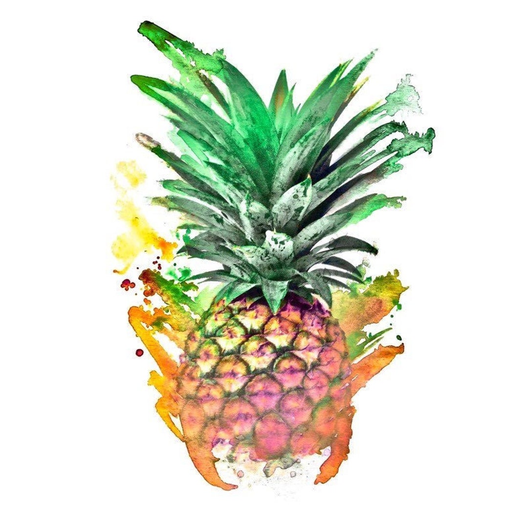 124 Conch Street - Etsy