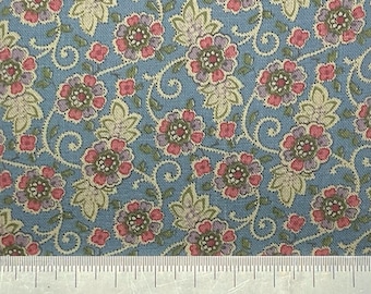 Stampa paisley in cotone azzurro