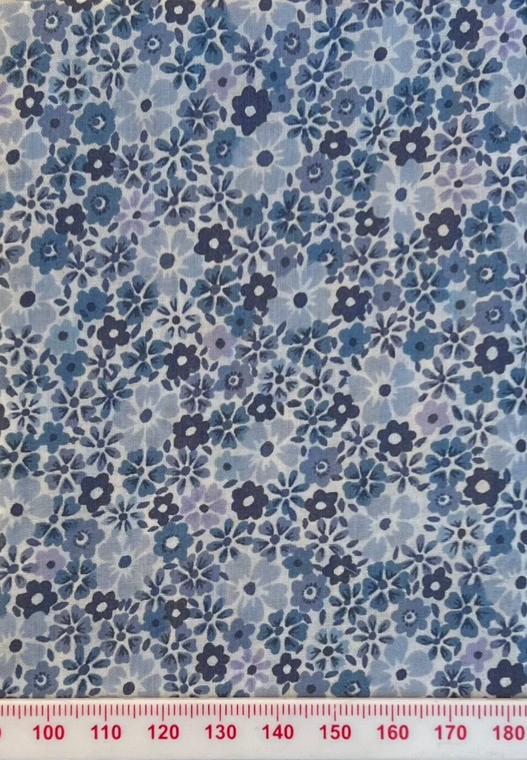 South Coast Lawn Flannel Blue