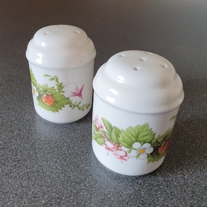 Marjolein Bastin salt & pepper shakers, meakin stoneware, Libelle collectible