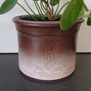 以下が含まれることがあります： 白い釉薬のデザインが施された茶色の陶器製のプランター。プランターは丸い形をしていて、縁が広い。緑色の植物がプランターに植えられている。