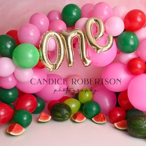 Balloon Banner Digital Backdrop Photographers One in a melon Cake smash Background Watermelon Pink Green Red