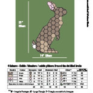 Pode incluir: Um padr&atilde;o de ponto cruz de um coelho castanho e bege com 4 cores: sela, castanho, sable e branco. O padr&atilde;o tem 14 polegadas de largura e 22 polegadas de altura. O padr&atilde;o inclui uma tabela com o n&uacute;mero de pontos para cada cor.