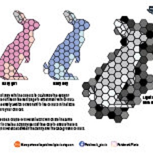 Pode incluir: Um diagrama mostrando um coelho com diferentes padr&otilde;es de cores. O coelho &eacute; composto por formas hexagonais. O coelho &eacute; mostrado em tr&ecirc;s esquemas de cores diferentes: rosa, azul e cinza.