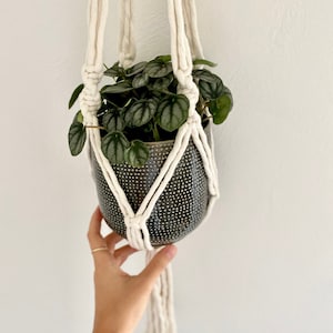 May include: A white macrame plant hanger with a green potted plant hanging from it. The plant is in a speckled black pot.