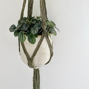 May include: A hanging plant holder with a white ceramic pot and a green macrame plant hanger. The pot contains a small green plant with round leaves. The macrame hanger is knotted and has a tassel at the bottom.