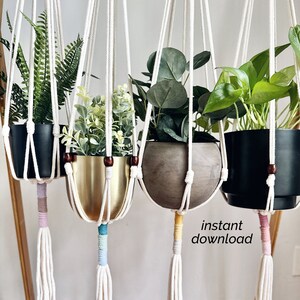 May include: Three macrame plant hangers with different colored tassels. The hangers are made of white cotton cord and feature a variety of plants in pots.