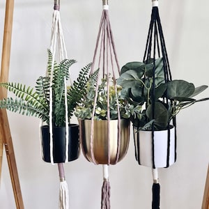 May include: Three macrame plant hangers with different colored cords and tassels. The hangers are holding potted plants with green leaves. The hangers are hanging from a wooden frame.