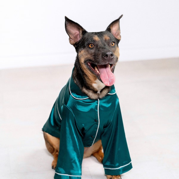 Pet Pajamas for Dogs and Cat in Emerald Green | Silk Pet PJ's | Gifts for Dog Moms | Holiday Pyjamas