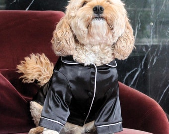 Black Silky Pet Pajamas with Silver Piping: Cat & Dog Outfit