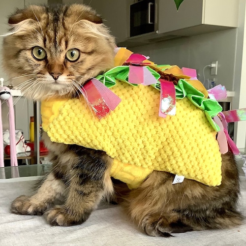 Taco Costume for Cats Etsy