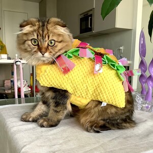 Taco Halloween Pet Costume for Cats snd Dogs | Velcro Straps | Fall Halloween Outfit