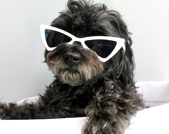 Matching Love Triangle Retro Sunglasses for Dogs and Owner