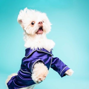 Matching Pet and Owner Pajamas Set in Sapphire Satin Dogs and Cats and Humans image 6