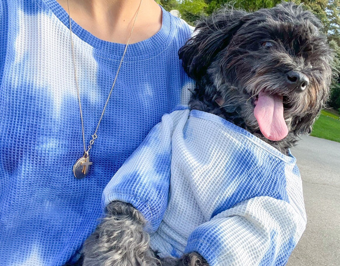 Matching Blue Tie Dye Sweaters for Pets and Humans dogs Cats Etsy Canada