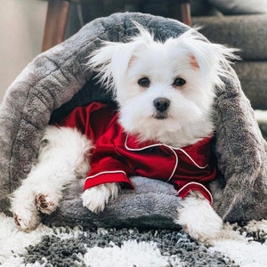 Pet Pajamas for Dogs and Cats in Ruby Red Satin | Unique Holiday Photoshoot with your Pets | Unique Gift for the Holidays | Matching Outfits