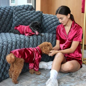 Matching Dog and Owner Pajamas Etsy UK