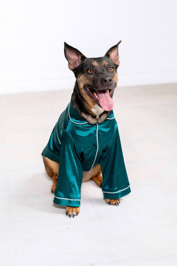 Chien en pyjama hotsell
