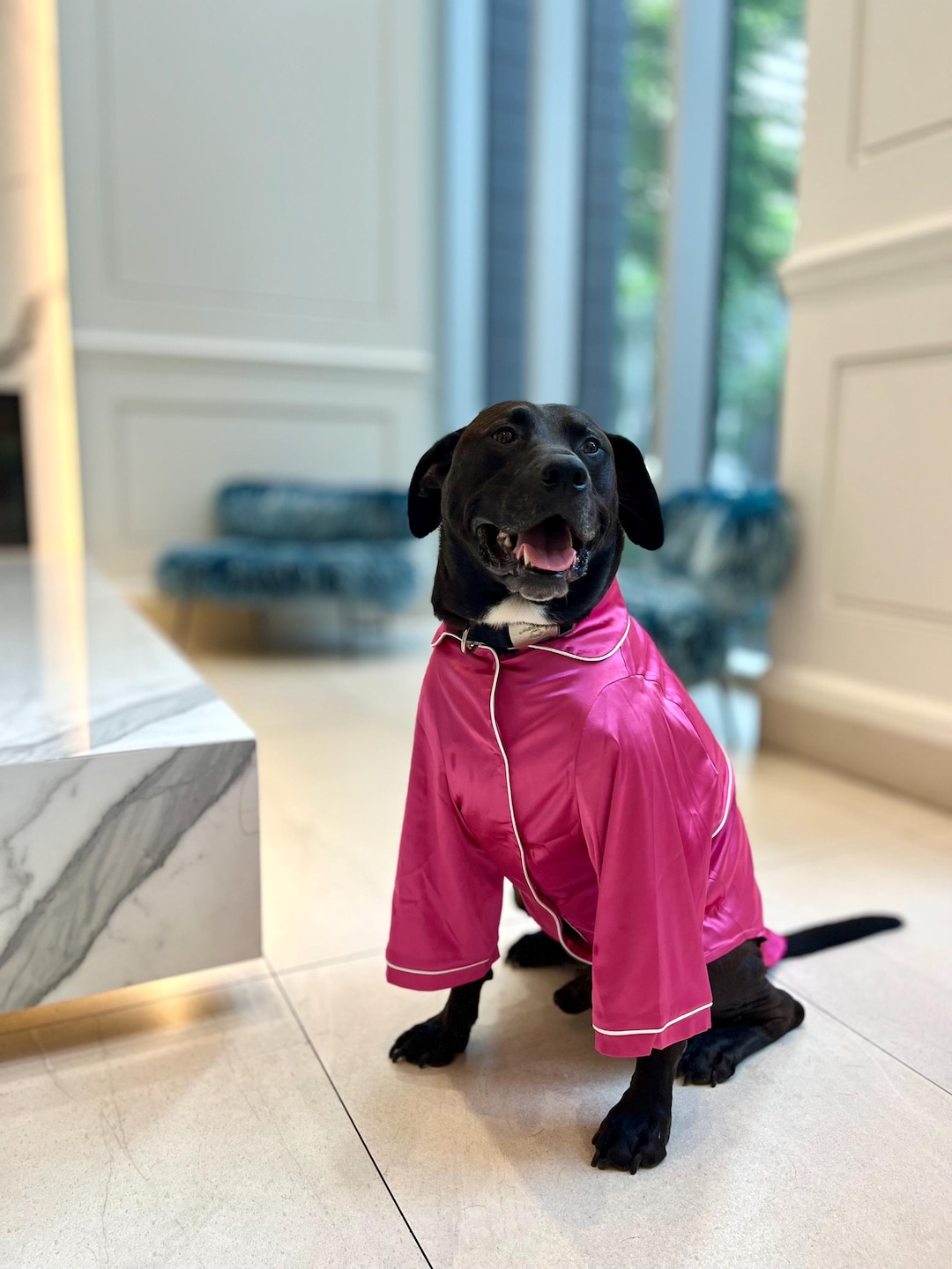 Ruby Red Red Dog Spa Pet Pajamas For Dogs Cats In Barbie Pink