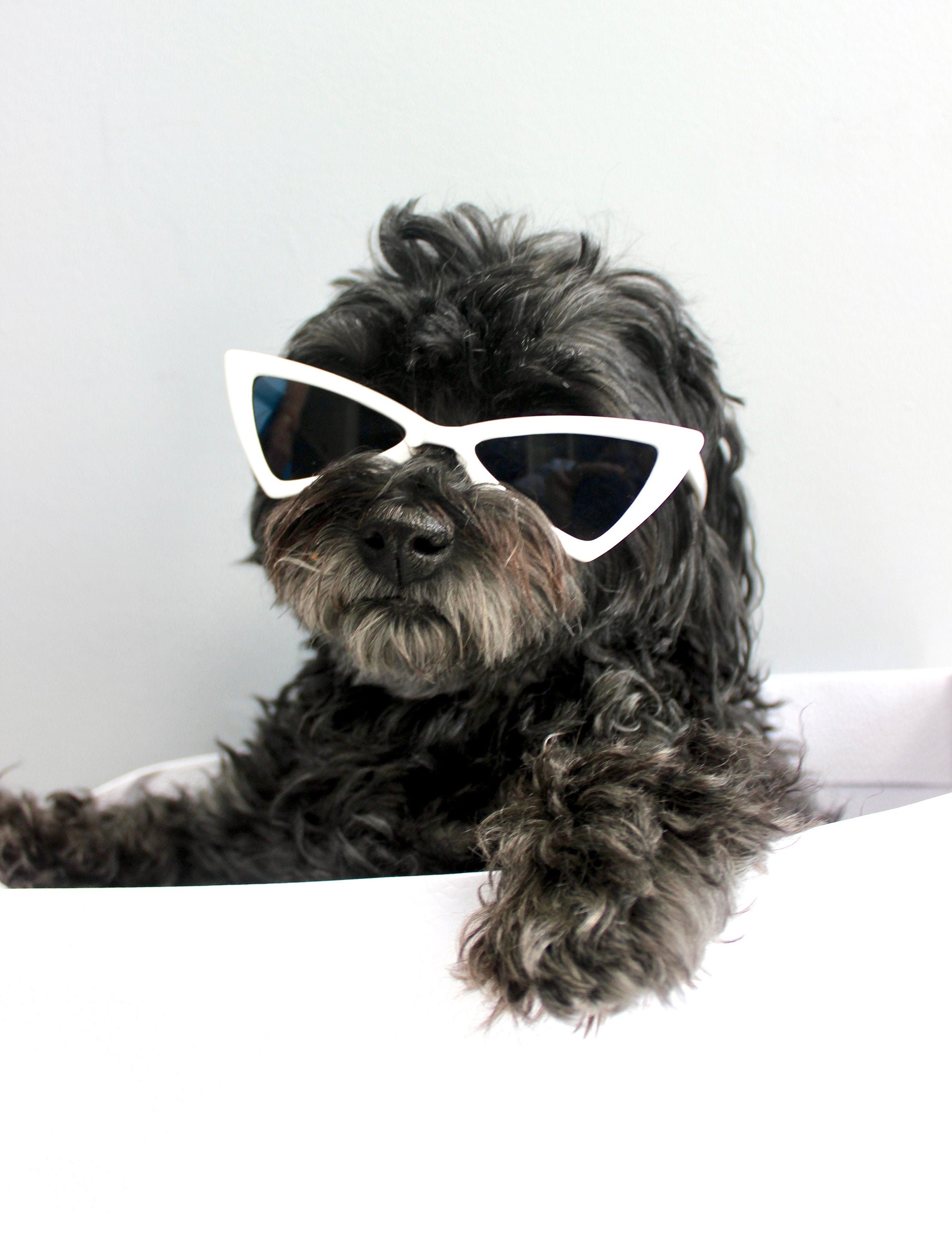Matching Love Triangle Retro Sunglasses for Dogs and Owner Etsy