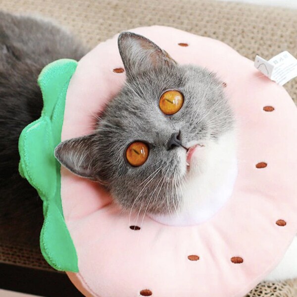 Strawberry Costume Etsy