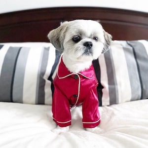 Pet Pajamas for Dogs and Cats in Red, Green, Pink and Blue Satin | Perfect Dog Mom Gift | Silky PJ's