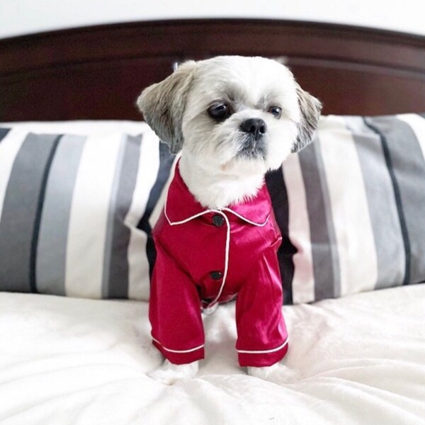 Pajamas for Dogs Etsy