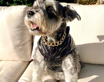Small dog hotsell gold chain collar