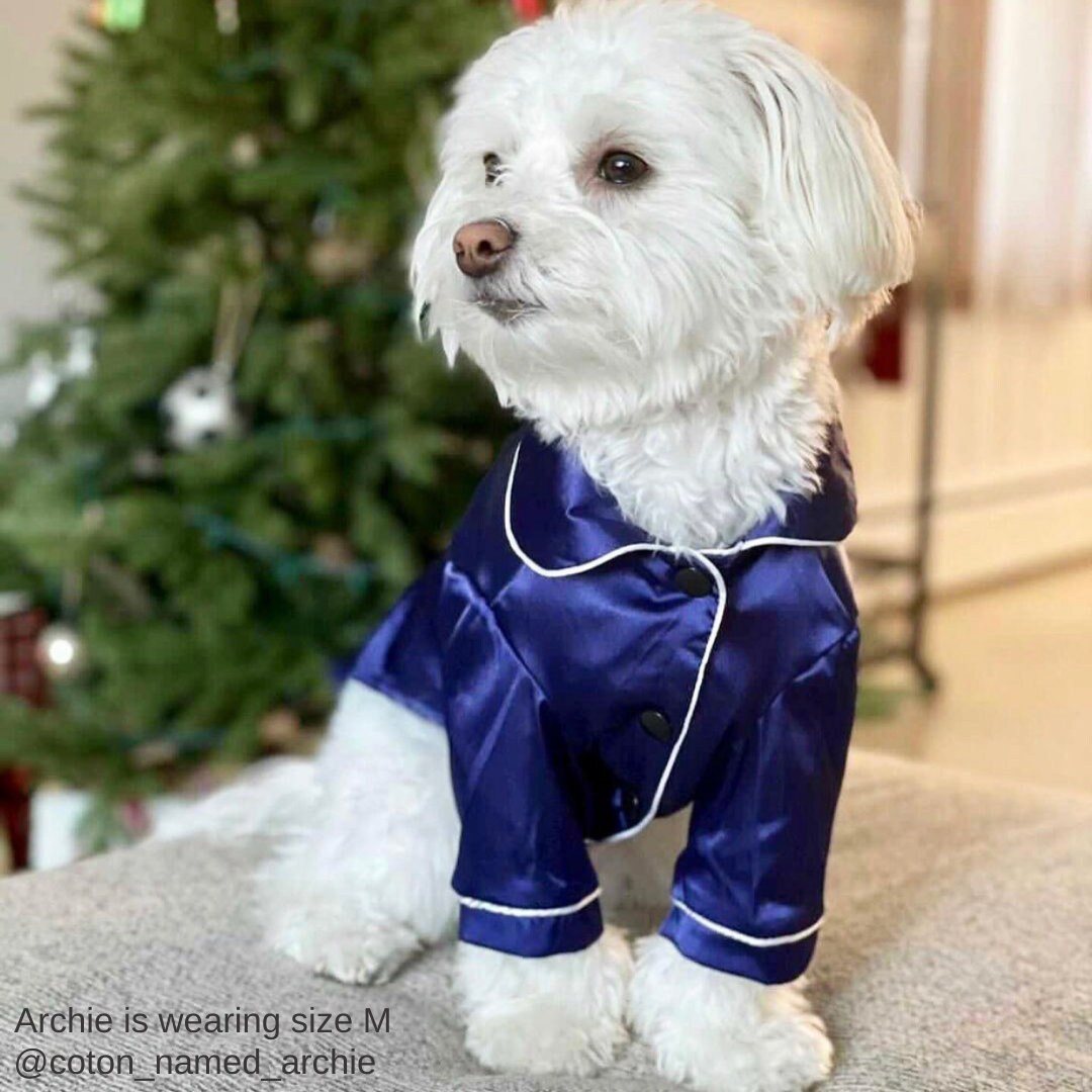 Matching Pet and Owner Pajamas Set in Sapphire Satin Dogs Etsy
