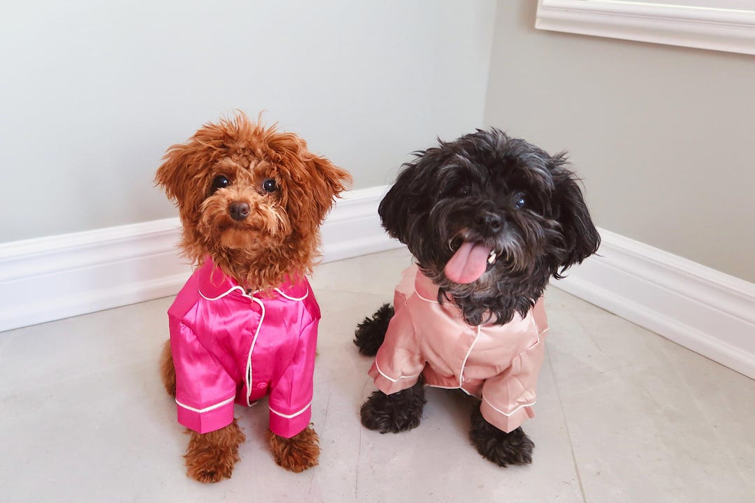 Cute Pet Dog Four-Legged Clothes Pajamas Coat Jumpsuit For Puppy Small Dog Pet E - Foto 9