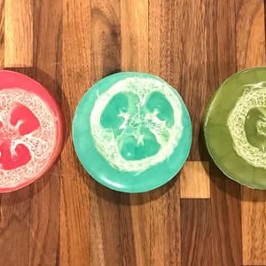 May include: Three round bars of soap arranged in a horizontal row. Each bar features a translucent colored base in shades of pink, turquoise, and olive green, with a textured, fibrous loofah slice embedded in the center of each circular surface.