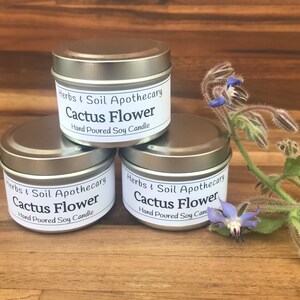 Champagne Kisses Whipped Sugar Scrub with Organic Cane Sugar and Sweet Almond Oil, Skin Polish Body Scrub, Spa Day Gift, Foaming Scrub image 11