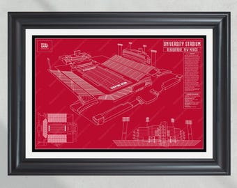 New Mexico Lobos University Stadium Stadion blauwdruk print